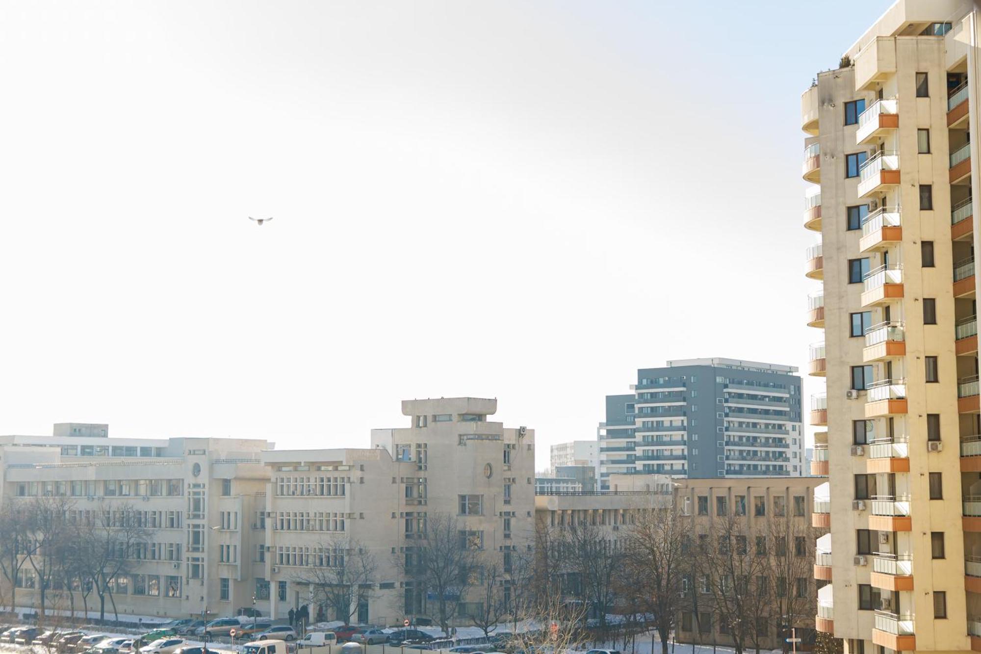 17 Zimbrului Residence At Lazar Towers Palas Iasi Eksteriør billede